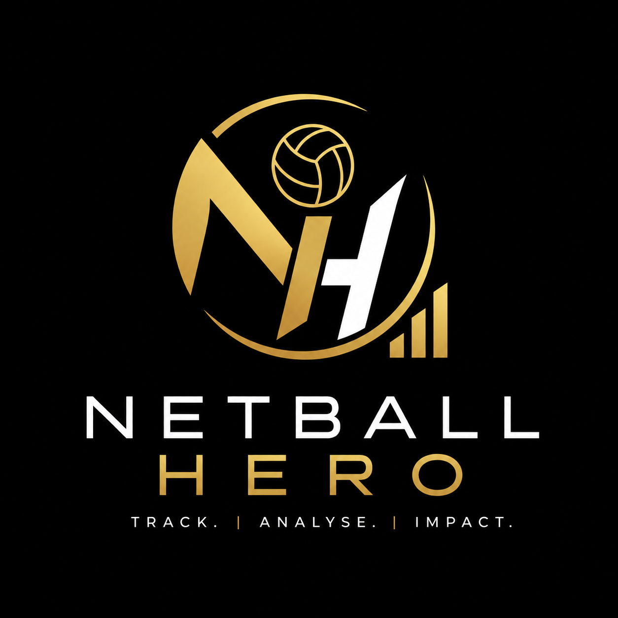 Netball Hero logo